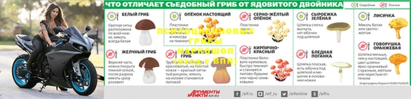 дживик Балахна